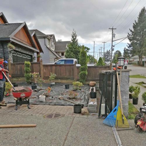 123A St front yard landscape - before