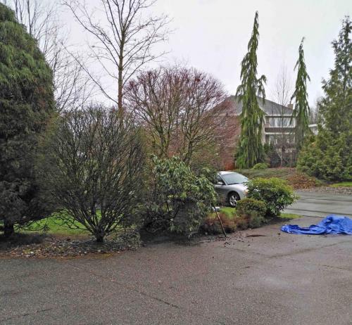 Redo rock work in garden beds (180A St.) - Before_2